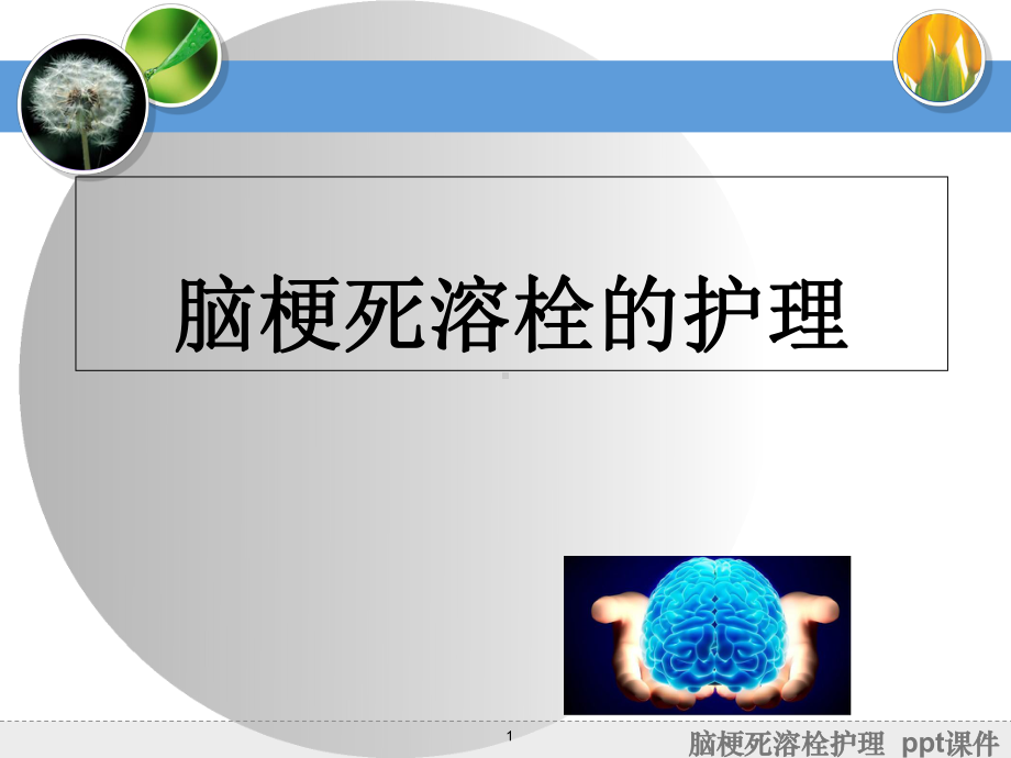 脑梗死溶栓护理-ppt课件.ppt_第1页