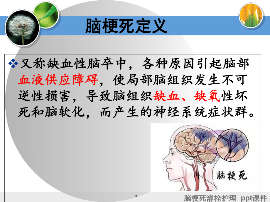 脑梗死溶栓护理-ppt课件.ppt_第3页