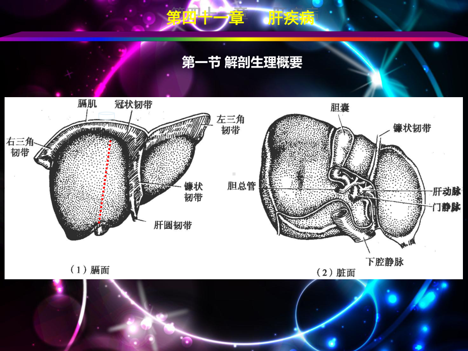 外科学(肝疾病)-ppt课件.ppt_第1页