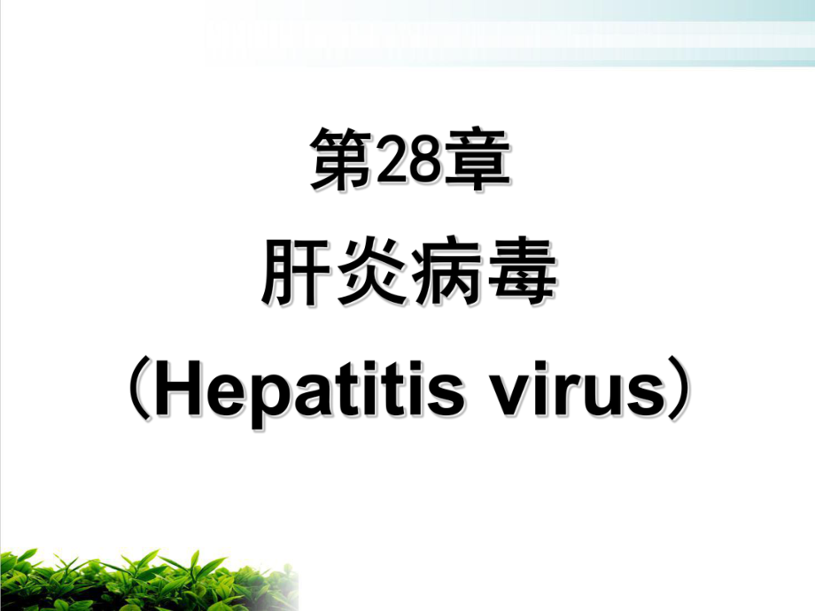 病原微生物-肝炎病毒参考课件.ppt_第2页