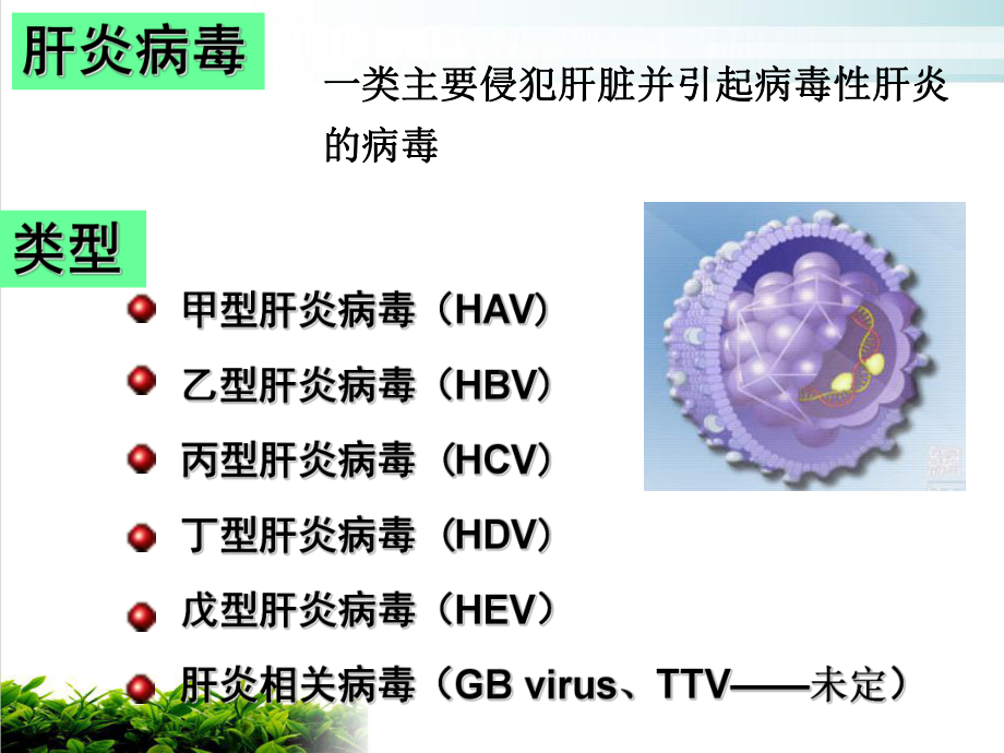 病原微生物-肝炎病毒参考课件.ppt_第3页