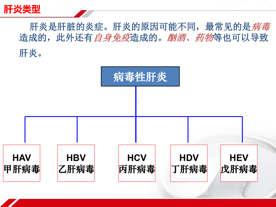 肝炎科普讲座PPT课件.ppt_第3页