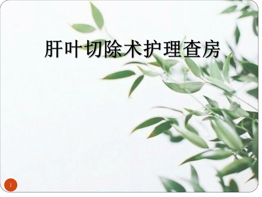 肝叶切除术护理查房PPT课件.ppt_第1页