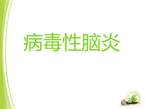 病毒性脑炎 PPT课件.ppt.ppt