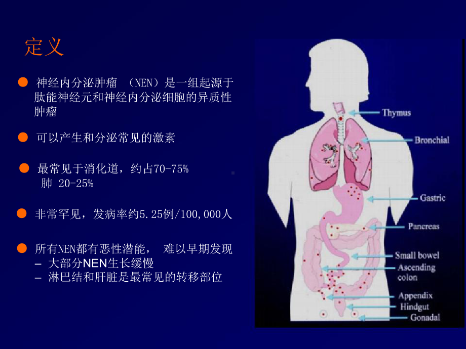 肺神经内分泌肿瘤课件.ppt_第2页