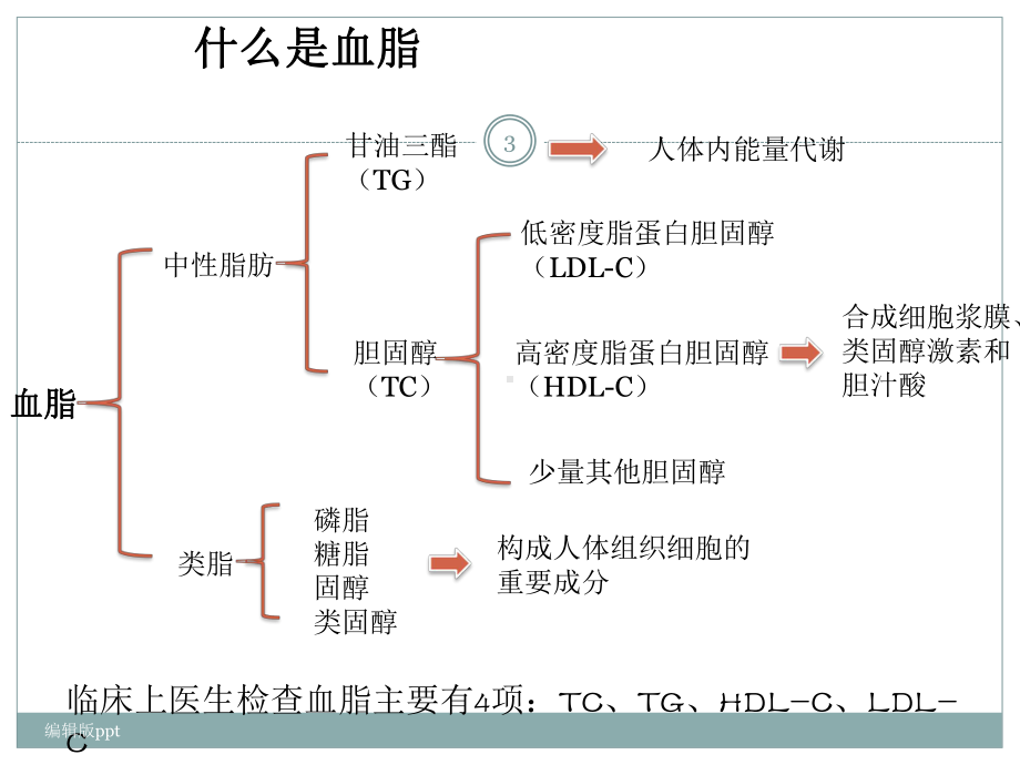 高血脂与脂肪肝的健康教育PPT课件.pptx_第3页