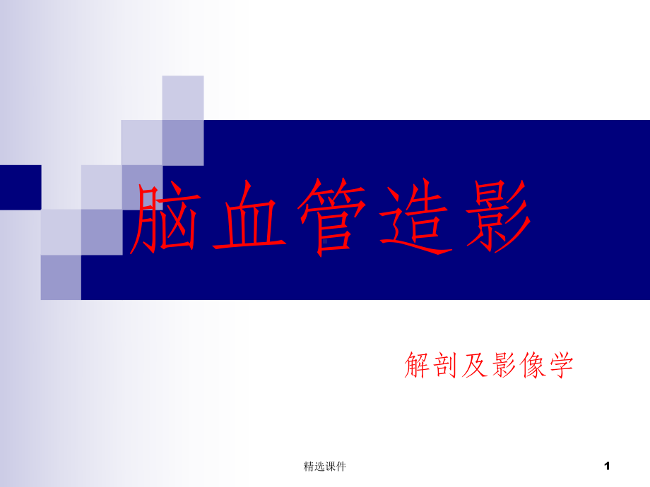 脑血管造影(解剖及影像表现)课件.ppt_第1页