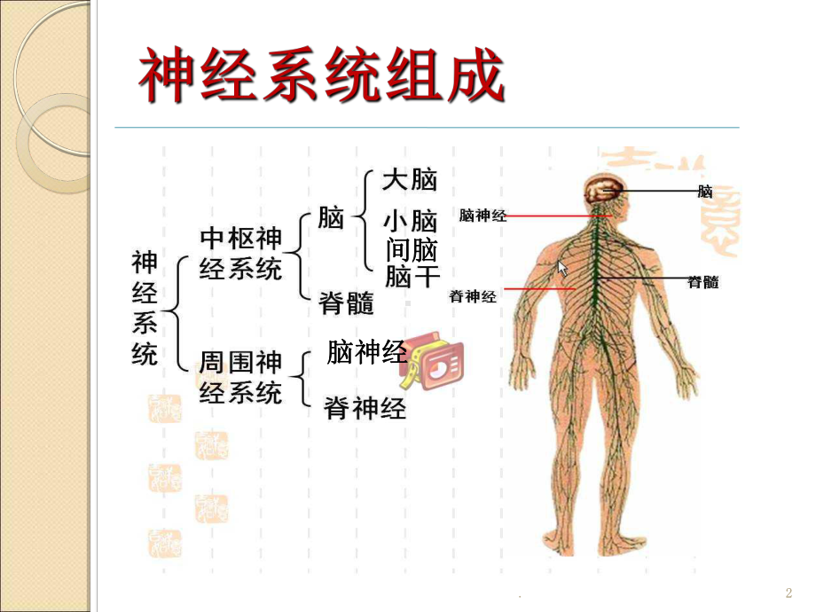 肝脏疾病并发中枢神经系统病变ppt课件.ppt_第2页