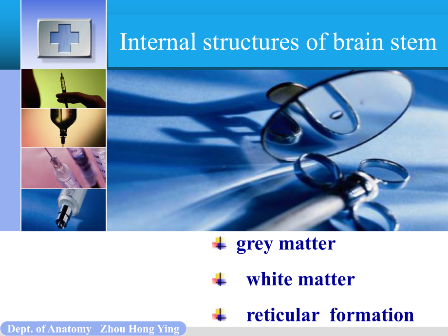 人体解剖学脑干Internalstructure课件.ppt_第1页