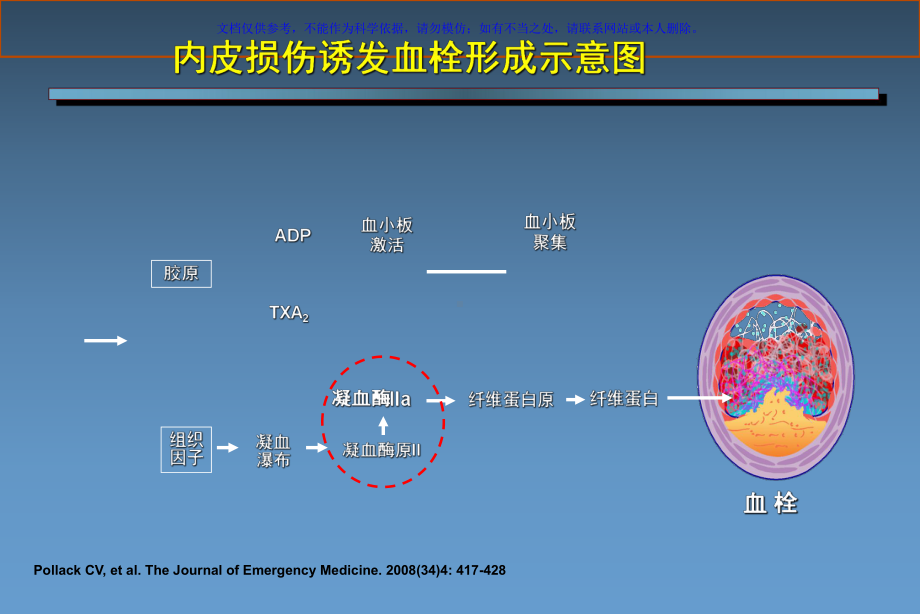 从普通肝素到磺达肝癸钠肝素类抗凝药物研发历程课件.ppt_第3页