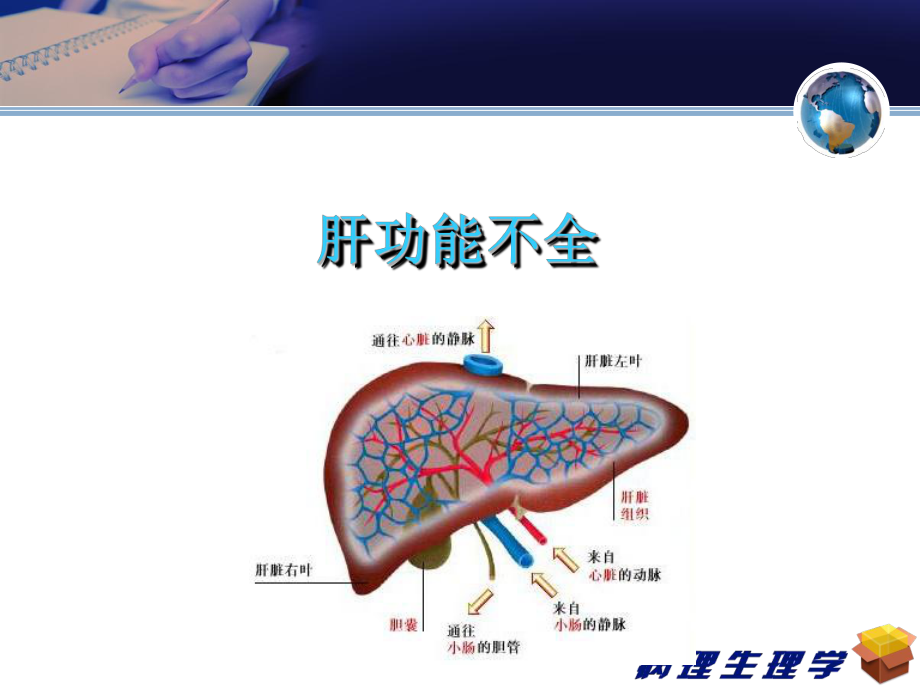 病理学与病理生理学肝功能不全-ppt课件.ppt_第1页