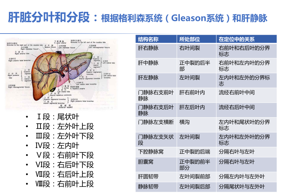 肝脏疾病的超声诊断课件.pptx_第3页