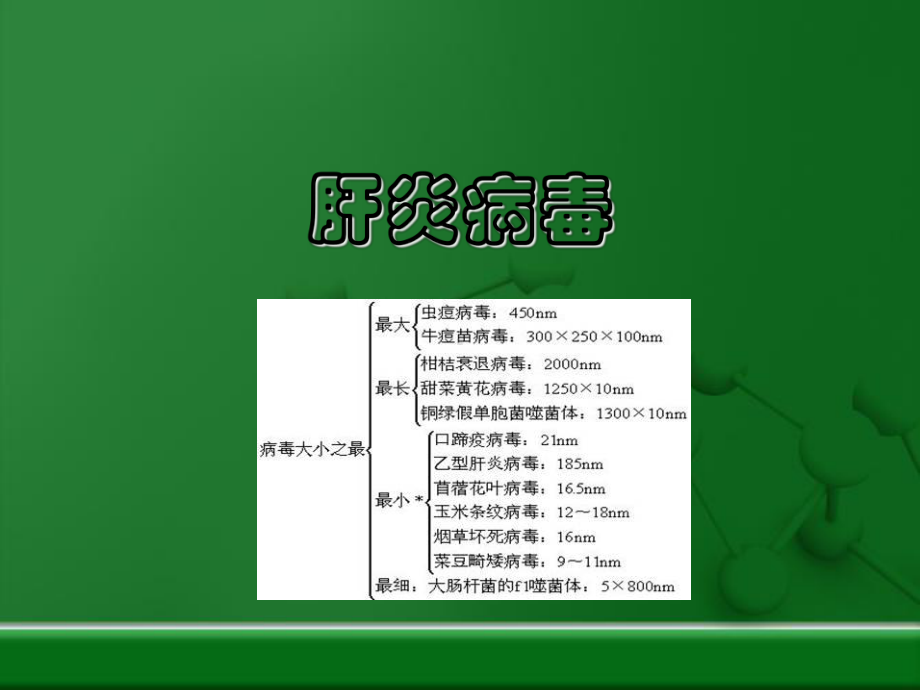 肝炎病毒课件.ppt_第1页