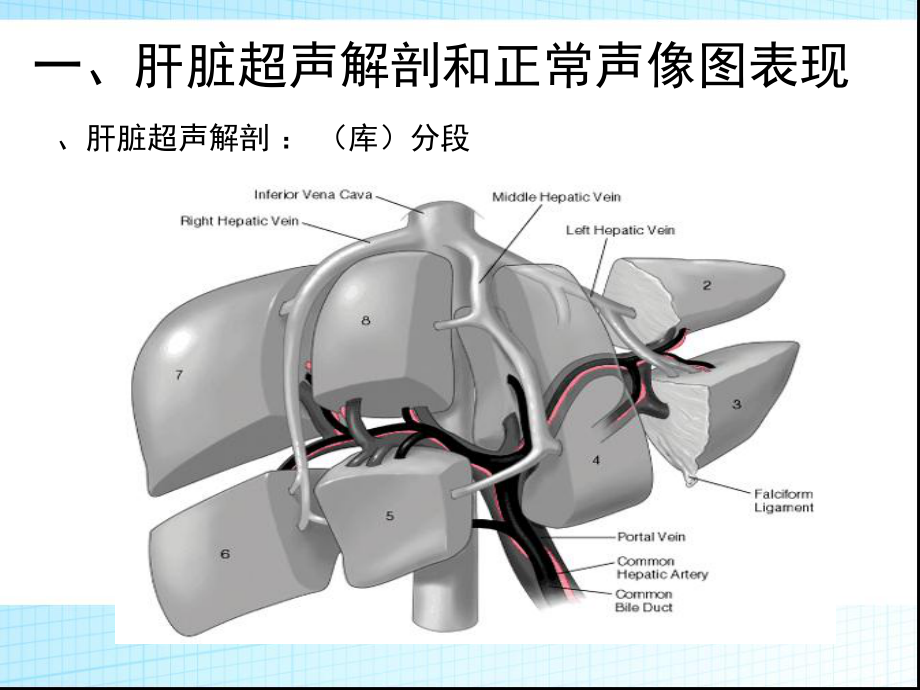 超声诊断学-肝胆胰脾课件.ppt_第3页