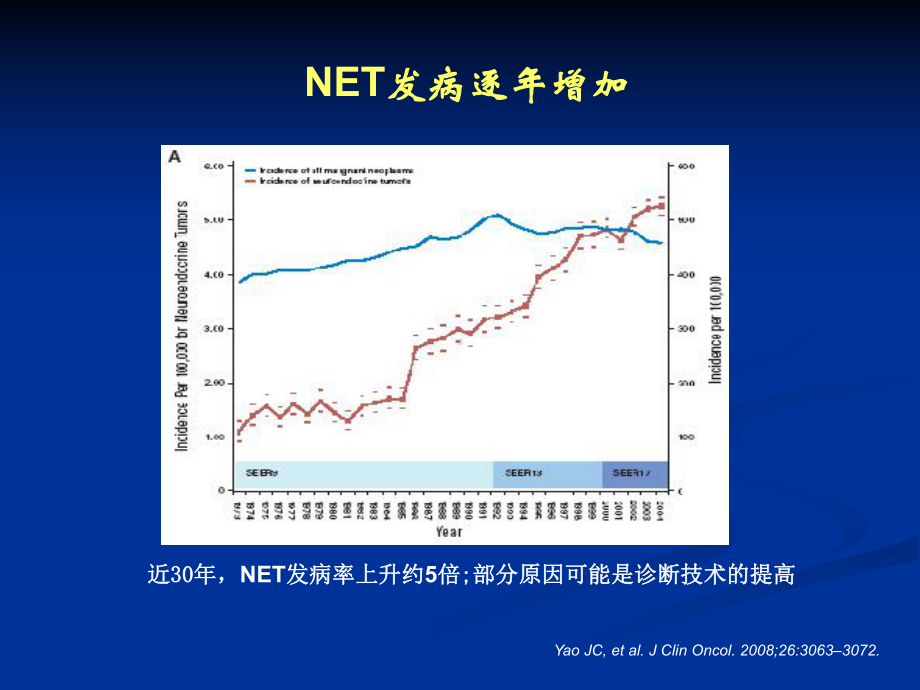 胃肠胰神经内分泌肿瘤课件.ppt_第2页