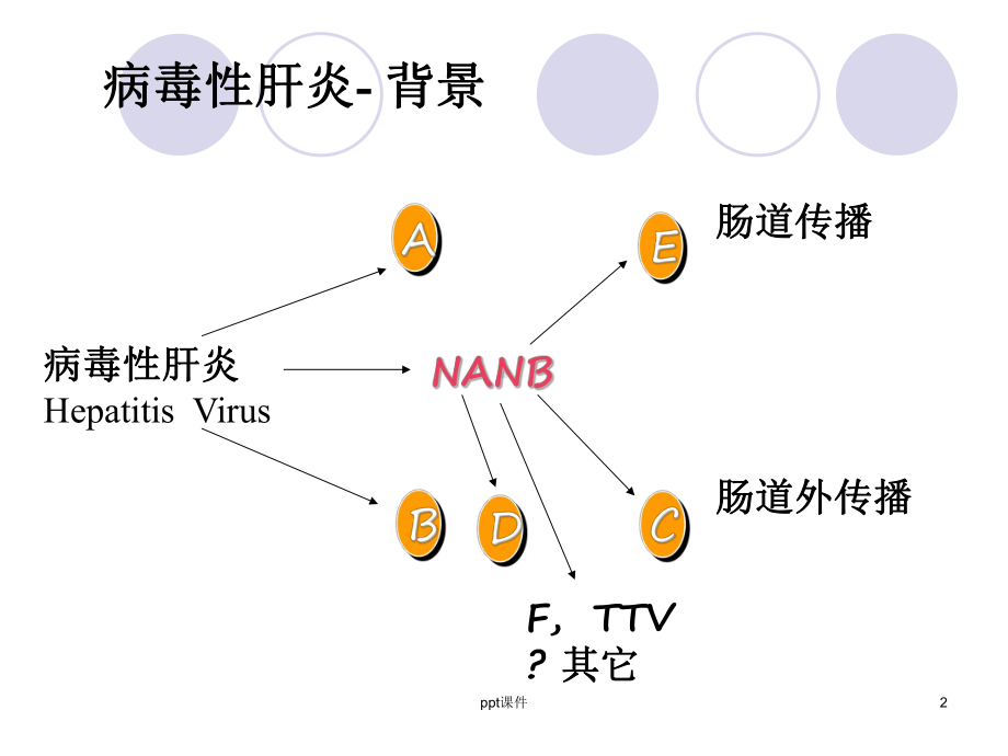 病毒性肝炎标志物检测-ppt课件.ppt_第2页