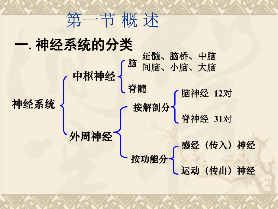 第二章-传出神经系统药课件.ppt_第2页