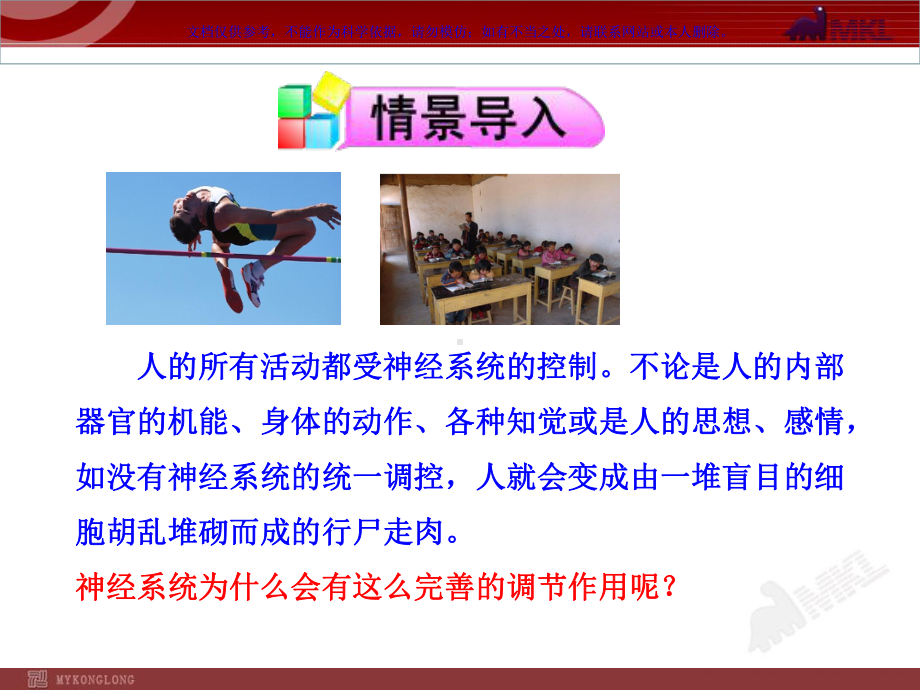 神经系统的组成课件.ppt_第1页