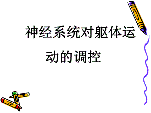 神经系统对躯体运动的调控 ppt课件.ppt