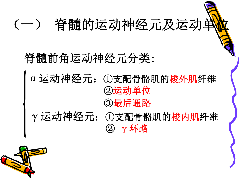 神经系统对躯体运动的调控 ppt课件.ppt_第3页