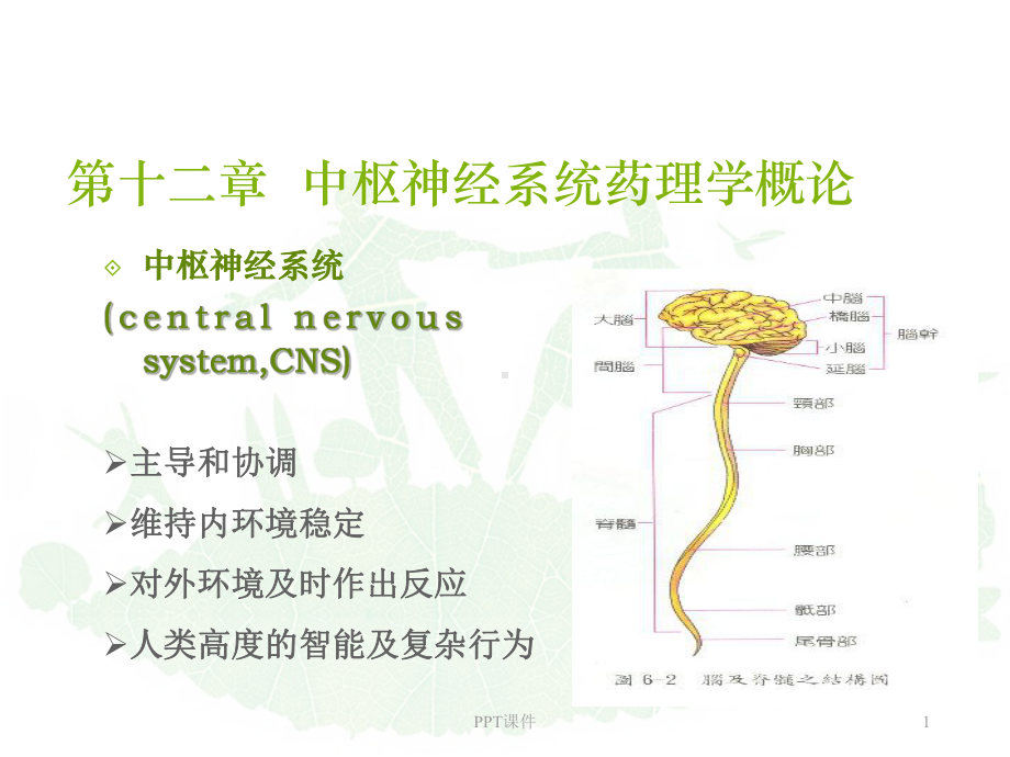 《药理学》中枢神经系统药理学-ppt课件.ppt_第1页