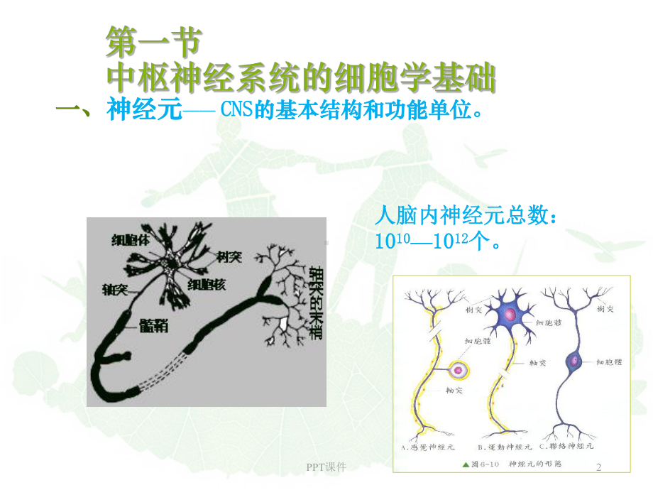 《药理学》中枢神经系统药理学-ppt课件.ppt_第2页