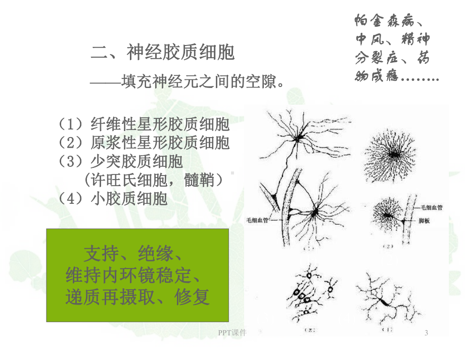 《药理学》中枢神经系统药理学-ppt课件.ppt_第3页