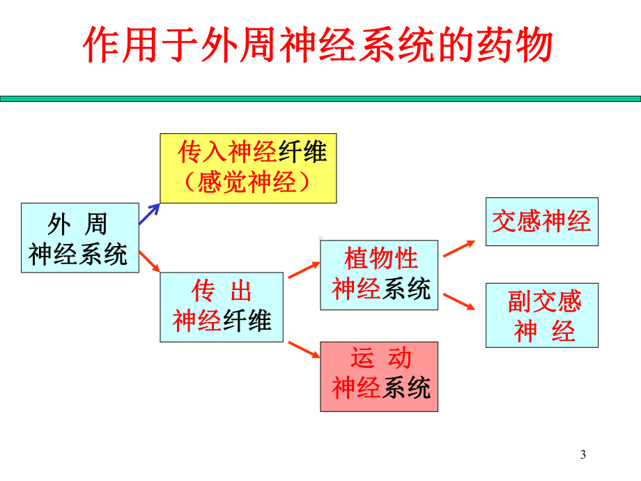 作用于外周神经系统药物1课件.ppt_第3页