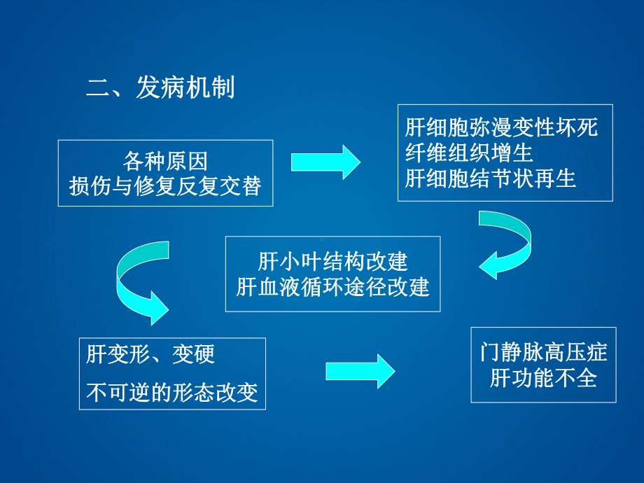 《病理学与病理生理学》肝硬化课件.ppt_第3页