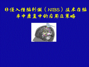 非侵入性脑刺激技术在脑卒中康复中的应用及策略1课件.pptx