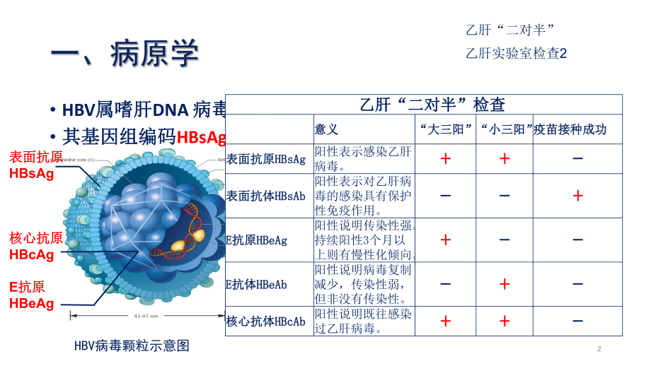 慢性乙型肝炎抗病毒治疗在特殊人群中应用课件.ppt_第2页