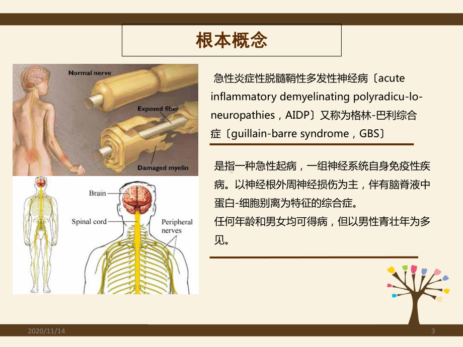 格林巴利综合症护理查房神经内科一区课件.ppt_第3页