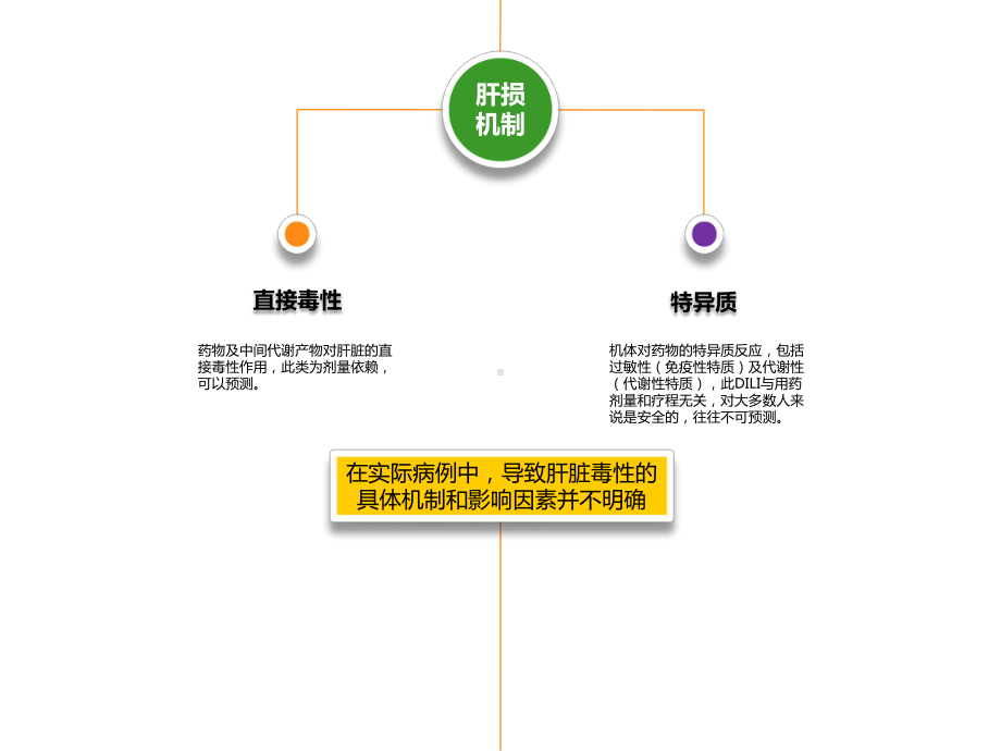 百赛诺预防药物性肝损伤课件.ppt_第3页