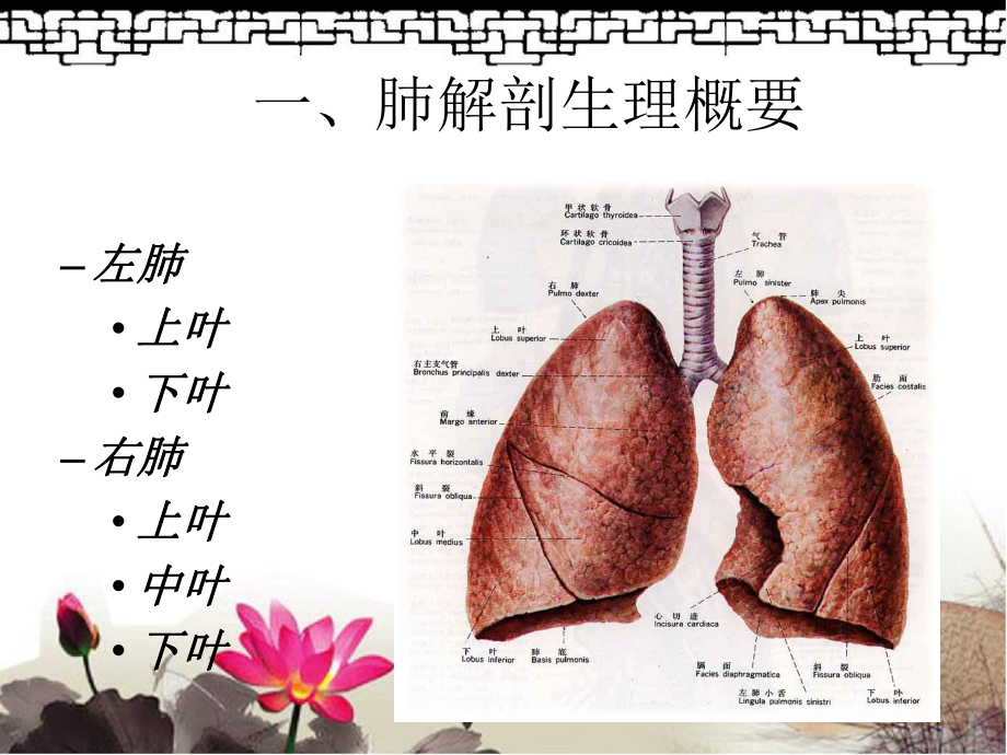 肺癌伴脑转移护理查房PPT课件.ppt_第2页