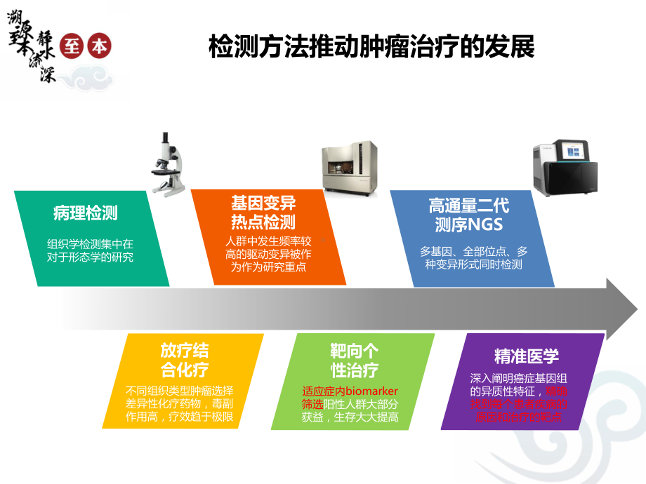 基因分型在肝胆肿瘤的探索与实践课件.ppt_第3页