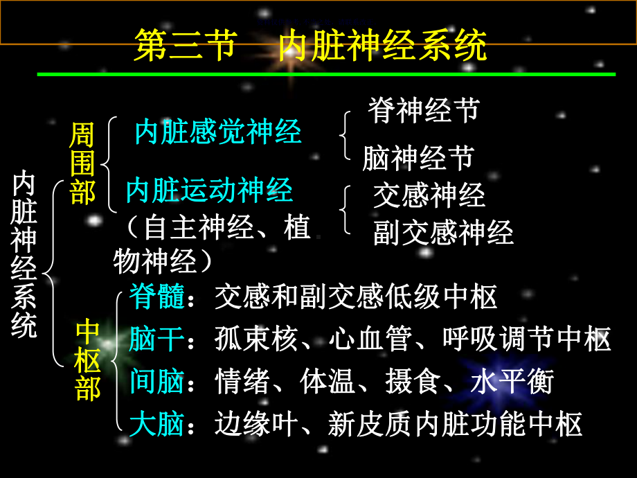 内脏神经传导通路医学知识课件.ppt_第2页