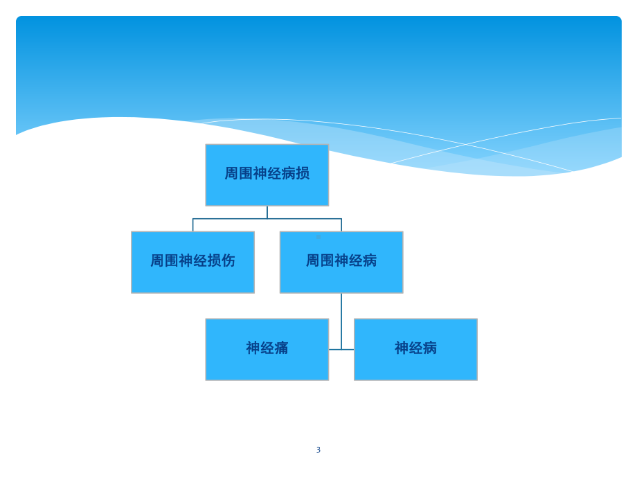 周围神经病损伤患者的康复课件.pptx_第3页