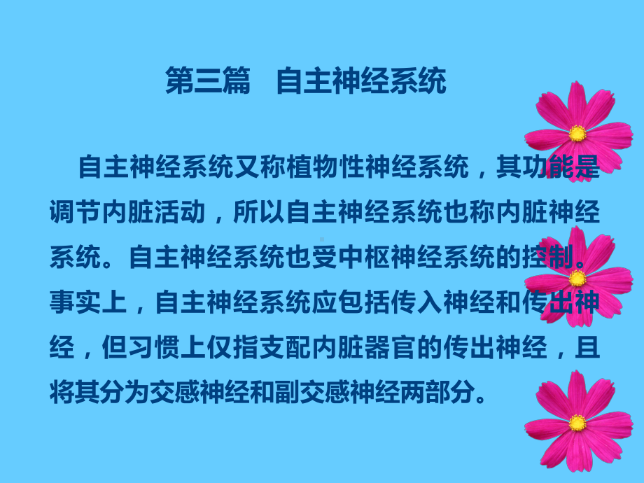 自主神经神经系统课件.ppt_第1页