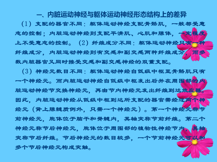 自主神经神经系统课件.ppt_第3页