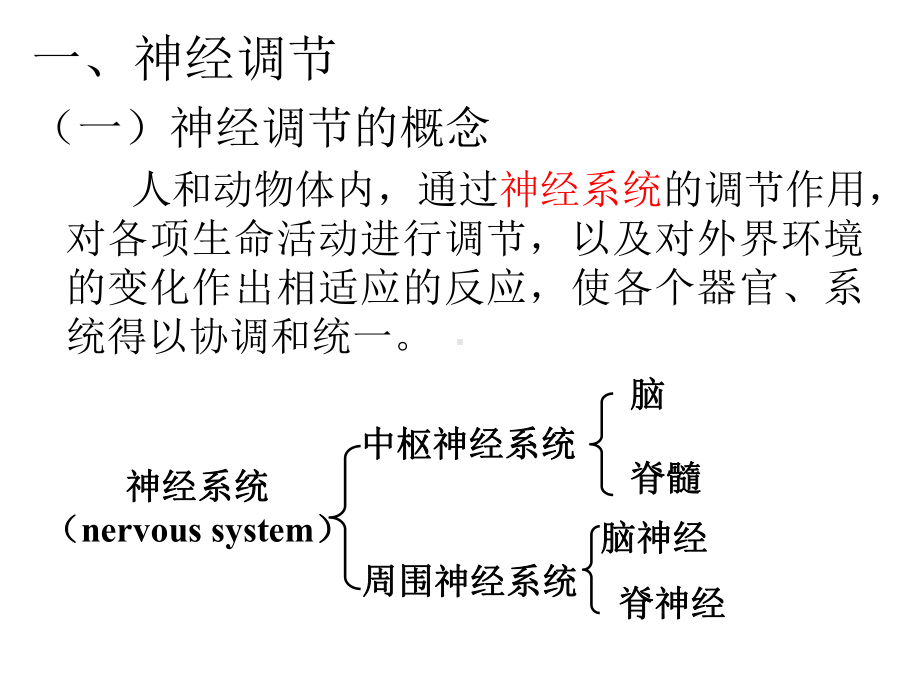 第一节通过神经系统的调节课件.ppt_第3页