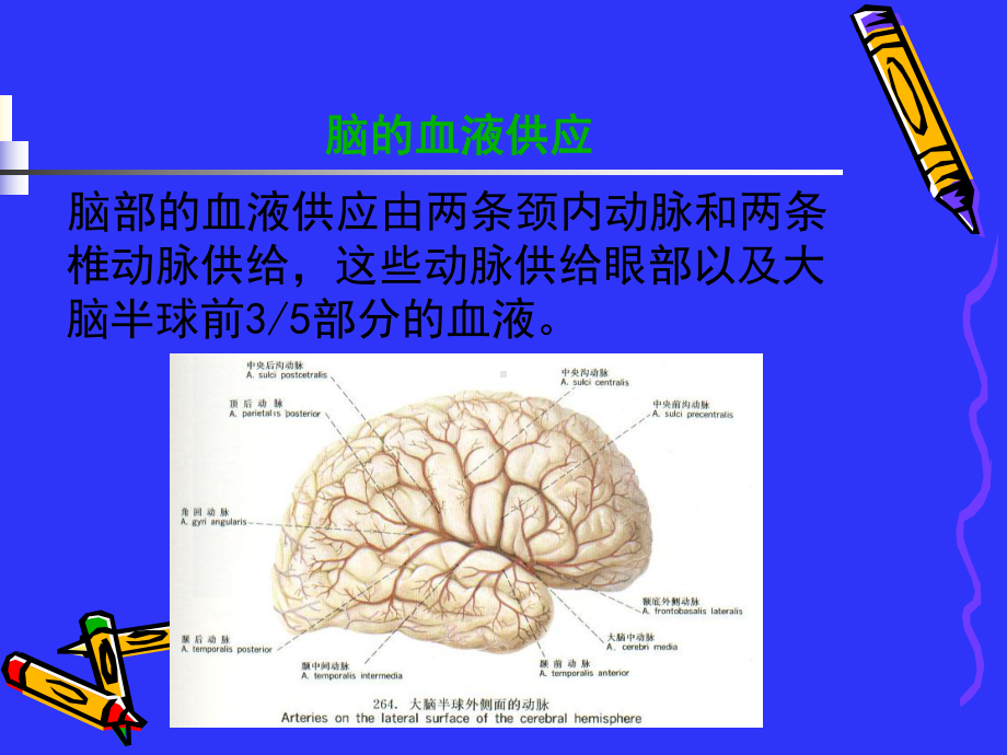 脑血管疾病护理-ppt课件.ppt_第2页