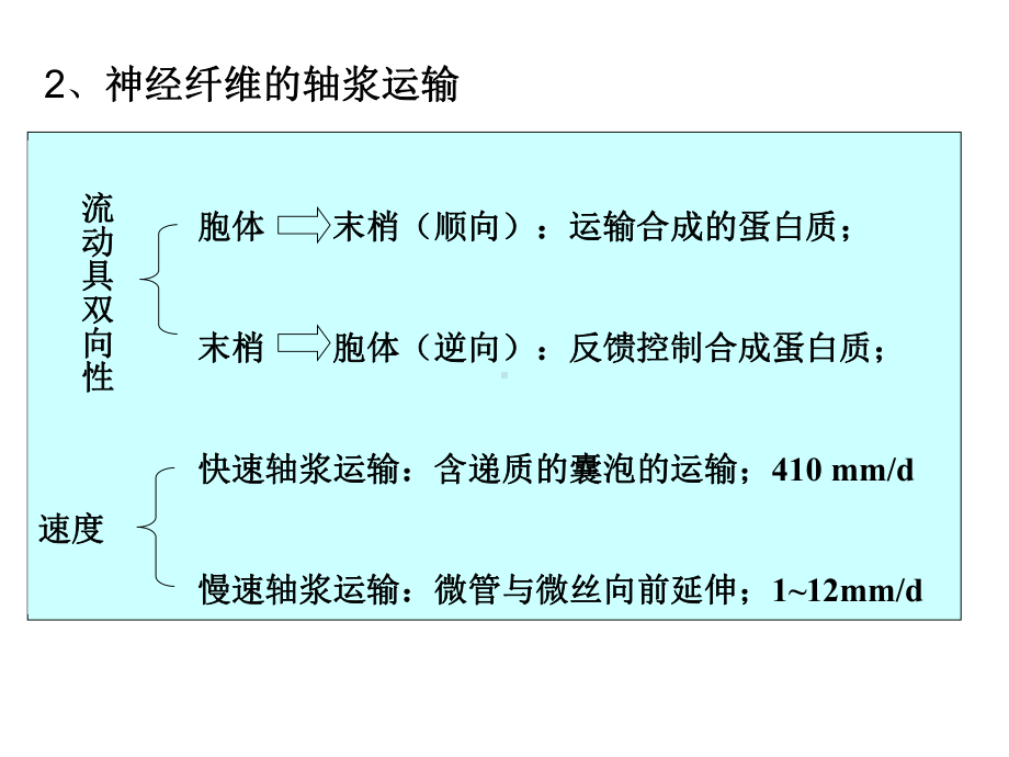 ppt课件-动物生理学第十三章神经系统的运动机能.ppt_第3页