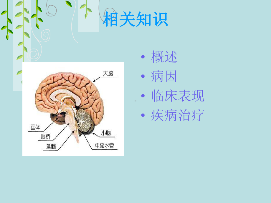 脑膜瘤PPT课件1.ppt_第3页