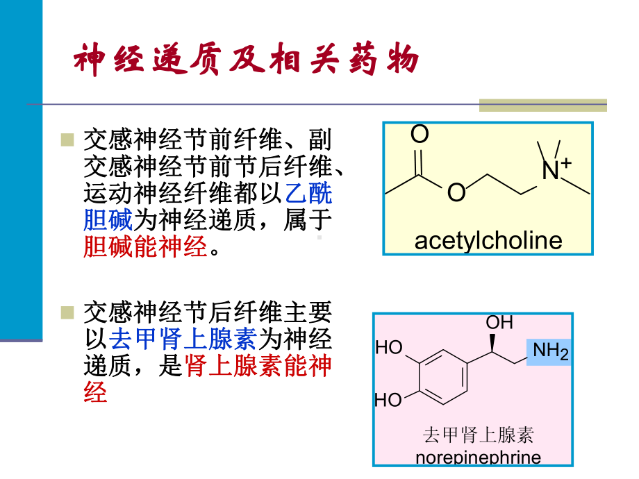 第三章-外周神经系统药物(12)课件.ppt_第3页