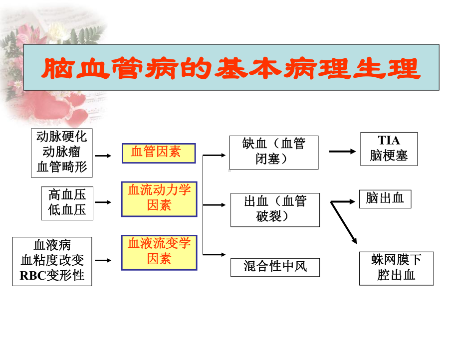 缺血性脑血管病-脑梗塞课件.ppt_第3页