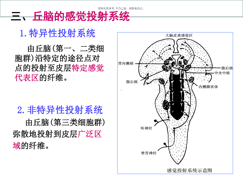 神经系统的感觉功能课件.ppt_第2页