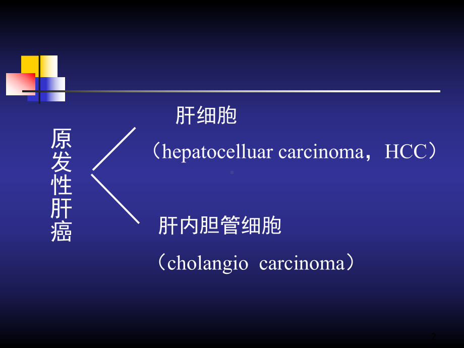 原发性肝癌PPT课件2.ppt_第2页