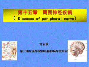 周围神经疾病学习PPT演示课件.ppt