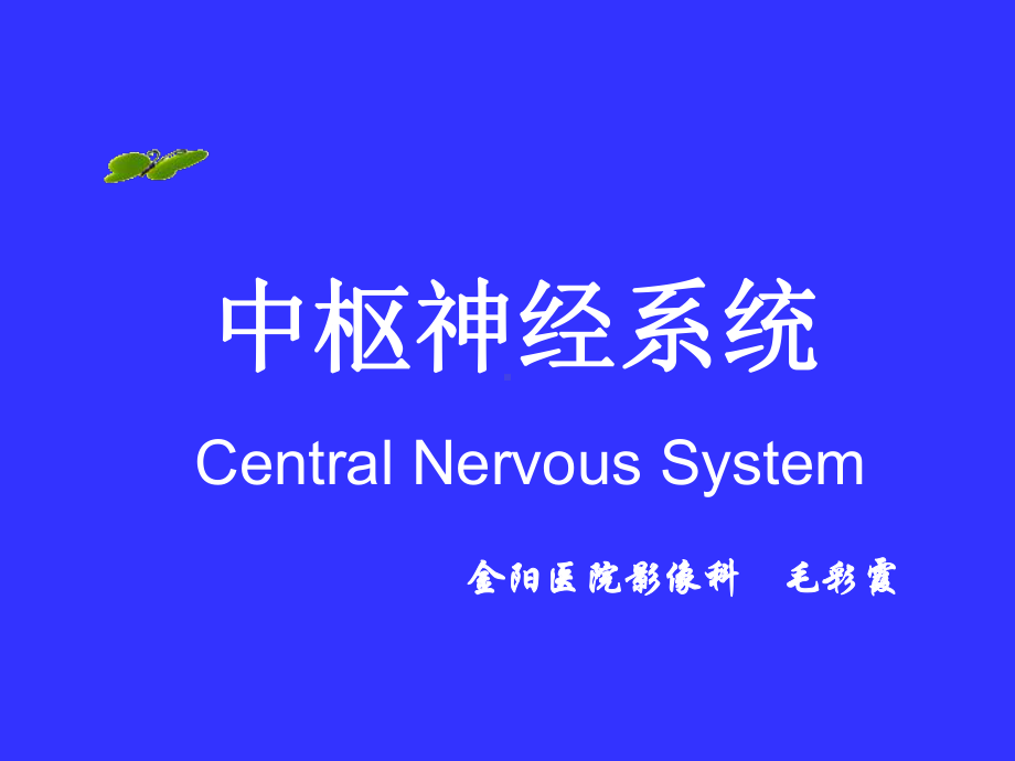 中枢神经系统(系统解剖学)课件.ppt_第1页