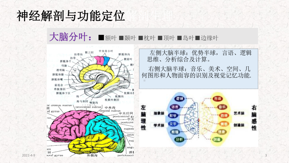 脑血管疾病定位诊断PPT课件.ppt_第3页